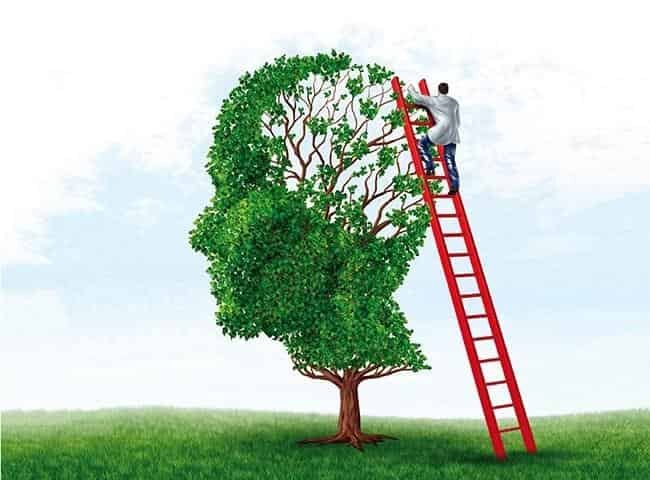 mente maravillosa-min mente maravillosa